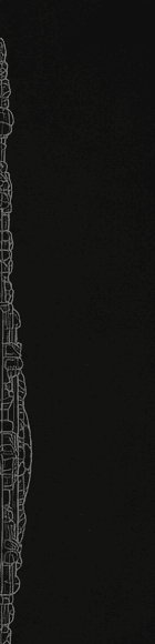 Vue de profil de Rosace réf R6608